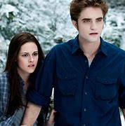 Image result for The Twilight Cast