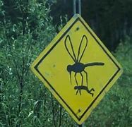 Image result for Mosquito Funny Signs