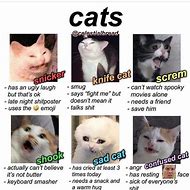 Image result for Cat School Memes