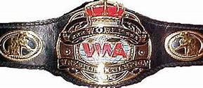Image result for Bible Championship Wrestling Belt
