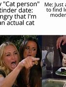 Image result for Explain the Meme of the Woman Yelling at the Cat