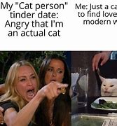 Image result for Cat Angry Woman Meme
