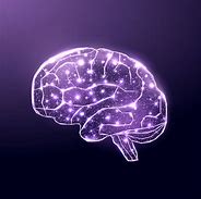 Image result for Brain Stem Model