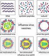 Image result for Influenza Vaccine Types