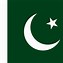 Image result for Pakistan Flag Colouring