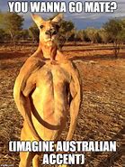 Image result for Australia Animal Memes
