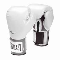 Image result for Everlast Pro Boxing Gloves