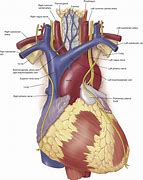 Image result for aotiric�n