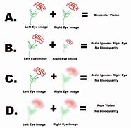 Image result for Depth Perception Eye Test Chart