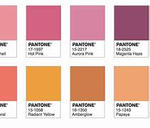 Image result for 2019 Year Color