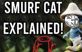 Image result for Turkish Smurf Cat Meme