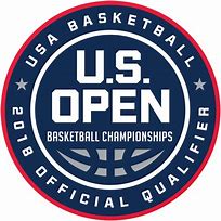 Image result for USA Basketball Logo Design