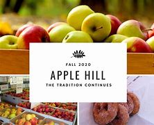 Image result for Apple Hill October