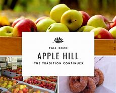 Image result for Apple Hill Thanksgiving