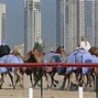 Image result for Camel Racing in UAE Photos