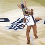 Image result for NBA Mascots Poster