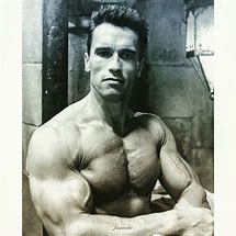 Image result for Arnold Schwarzenegger Bodybuilding Back