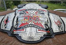 Image result for TNA X Division Championship