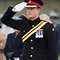 Image result for Prince Harry RAF Uniform