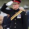 Image result for Prince Harry German Uniform