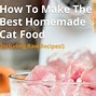 Image result for Homemade Cat Food