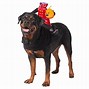 Image result for Funny Dog Halloween Costumes