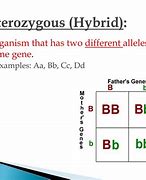 Image result for Hybrid Heterozygous