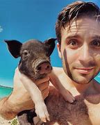 Image result for Exuma Bahamas Swimming with Pigs