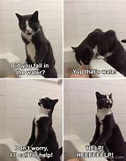 Image result for Amazing Clean Cat Memes