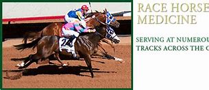 Image result for Race Horse PNG