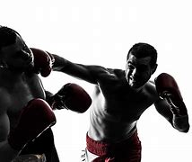 Image result for Boxing Stock Images