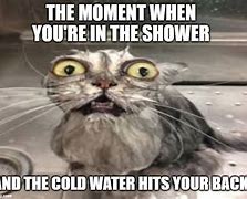 Image result for Meme Brain Cold Water