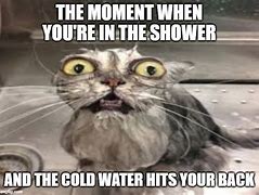 Image result for Cold Shower Funny Meme