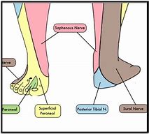Image result for What Is Lineer Feet