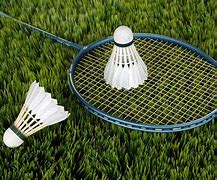 Image result for Badminton Yard