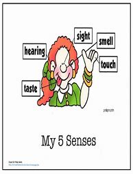 Image result for Ancbor Chart for Five Senses