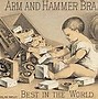 Image result for Arm and Hammer Female Logo