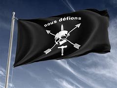 Image result for Nous Defions Flag