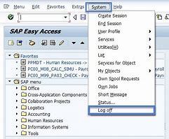 Image result for How to Operate SAP App