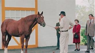 Image result for Secretariat Horse Funeral