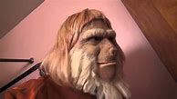 Image result for Planet of the Apes Doctor Zaius Costume