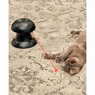 Image result for Laser Light Cat Toy