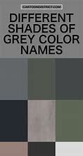 Image result for The Color Grey or Gray
