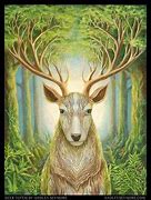 Image result for Deer Wallpaper for Xbox