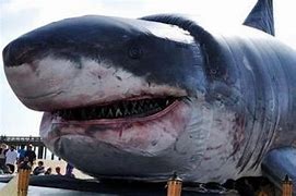 Image result for Biggest Shark to Exist