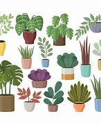 Image result for House Plant Clip Art Black and White