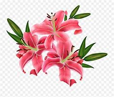 Image result for Lily Emoji