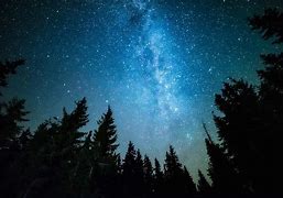 Image result for Milky Way Over Forest Stream
