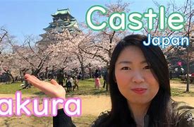 Image result for Osaka Castle HD