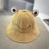 Image result for Rain Frog Hat